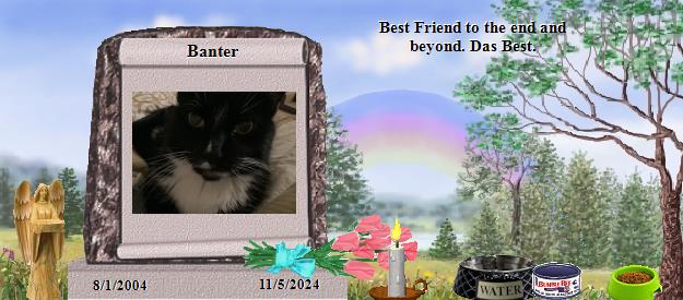 Banter's Rainbow Bridge Pet Loss Memorial Residency Image