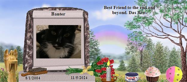 Banter's Rainbow Bridge Pet Loss Memorial Residency Image