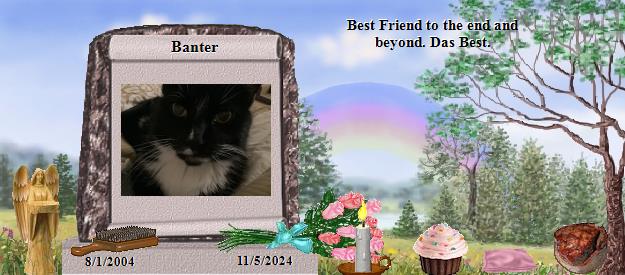 Banter's Rainbow Bridge Pet Loss Memorial Residency Image