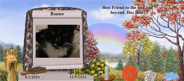 Banter's Rainbow Bridge Pet Loss Memorial Residency Image