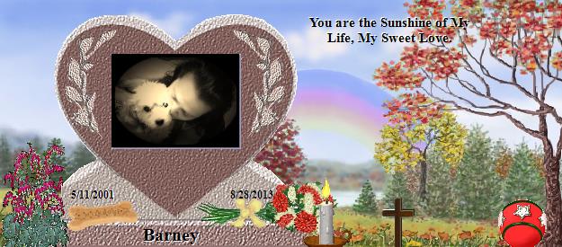 Barney's Rainbow Bridge Pet Loss Memorial Residency Image