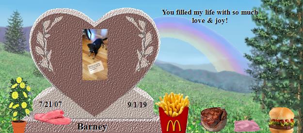 Barney's Rainbow Bridge Pet Loss Memorial Residency Image