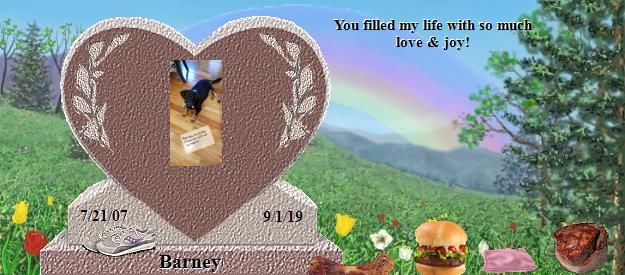 Barney's Rainbow Bridge Pet Loss Memorial Residency Image