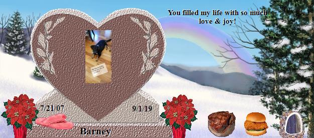 Barney's Rainbow Bridge Pet Loss Memorial Residency Image