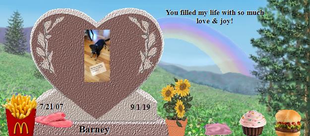 Barney's Rainbow Bridge Pet Loss Memorial Residency Image