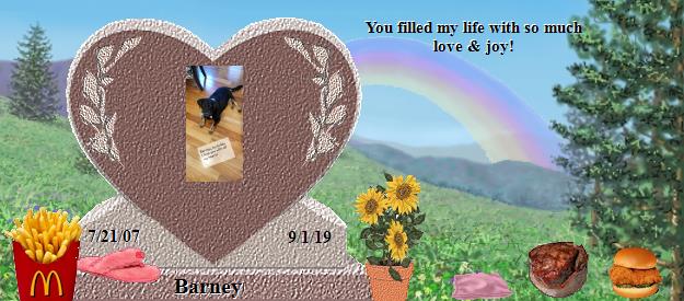Barney's Rainbow Bridge Pet Loss Memorial Residency Image