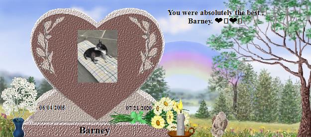 Barney's Rainbow Bridge Pet Loss Memorial Residency Image