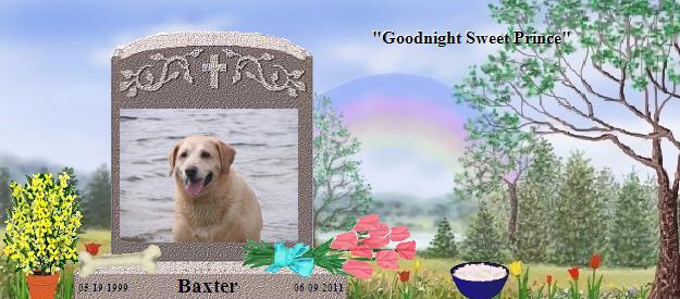 Baxter's Rainbow Bridge Pet Loss Memorial Residency Image