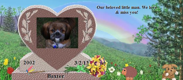 Baxter's Rainbow Bridge Pet Loss Memorial Residency Image