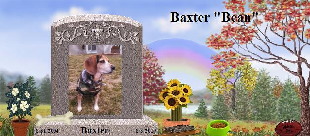 Baxter's Rainbow Bridge Pet Loss Memorial Residency Image