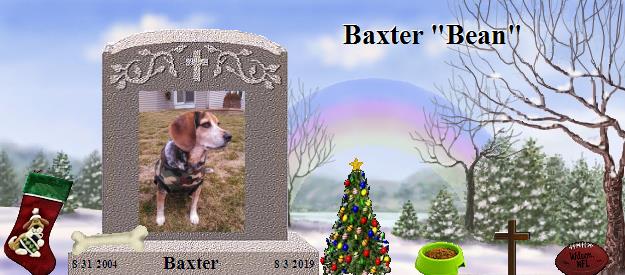 Baxter's Rainbow Bridge Pet Loss Memorial Residency Image