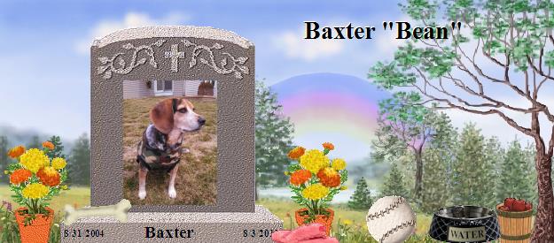 Baxter's Rainbow Bridge Pet Loss Memorial Residency Image
