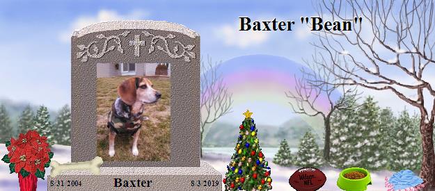 Baxter's Rainbow Bridge Pet Loss Memorial Residency Image