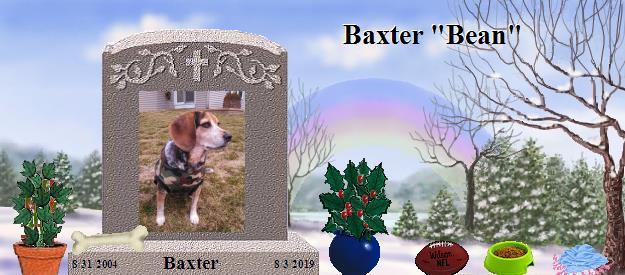 Baxter's Rainbow Bridge Pet Loss Memorial Residency Image