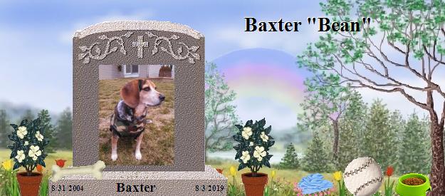 Baxter's Rainbow Bridge Pet Loss Memorial Residency Image