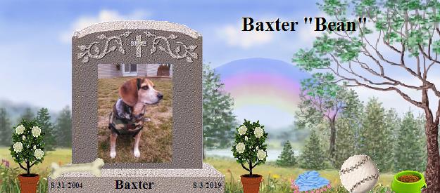 Baxter's Rainbow Bridge Pet Loss Memorial Residency Image