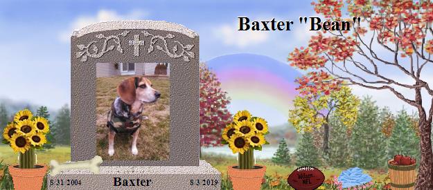 Baxter's Rainbow Bridge Pet Loss Memorial Residency Image