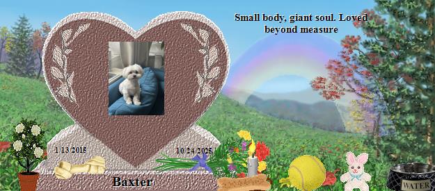 Baxter's Rainbow Bridge Pet Loss Memorial Residency Image