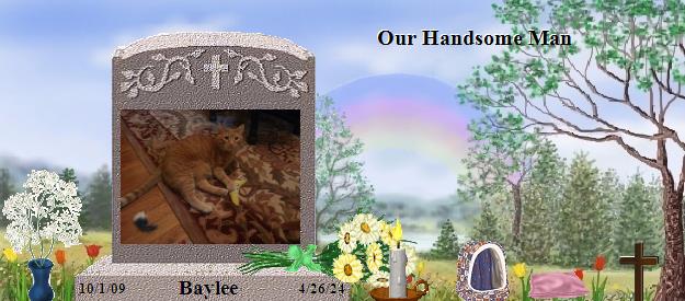 Baylee's Rainbow Bridge Pet Loss Memorial Residency Image