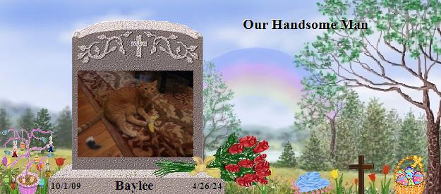 Baylee's Rainbow Bridge Pet Loss Memorial Residency Image