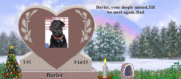 Baylor's Rainbow Bridge Pet Loss Memorial Residency Image