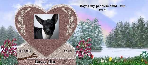 Baysa Blu's Rainbow Bridge Pet Loss Memorial Residency Image