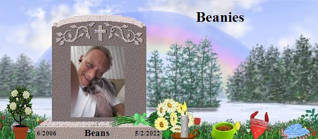 Beans's Rainbow Bridge Pet Loss Memorial Residency Image