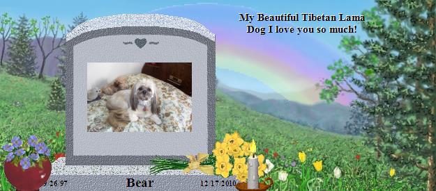 Bear's Rainbow Bridge Pet Loss Memorial Residency Image