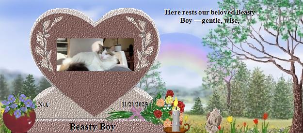 Beasty Boy's Rainbow Bridge Pet Loss Memorial Residency Image