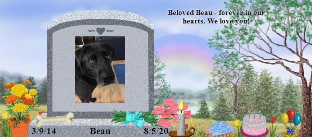 Beau's Rainbow Bridge Pet Loss Memorial Residency Image