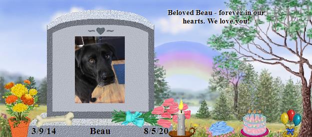 Beau's Rainbow Bridge Pet Loss Memorial Residency Image