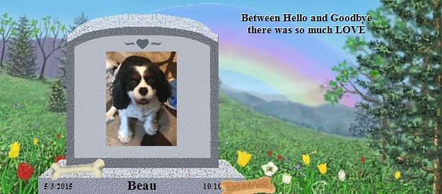 Beau's Rainbow Bridge Pet Loss Memorial Residency Image