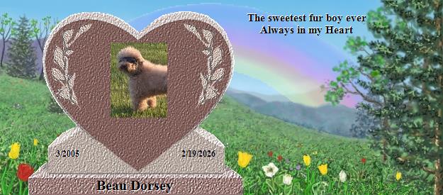 Beau Dorsey's Rainbow Bridge Pet Loss Memorial Residency Image