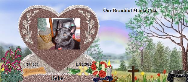 Bebe's Rainbow Bridge Pet Loss Memorial Residency Image
