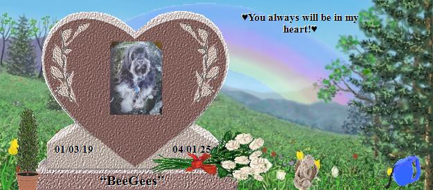 “BeeGees”'s Rainbow Bridge Pet Loss Memorial Residency Image