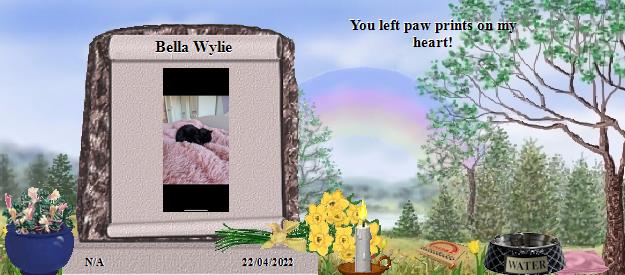 Bella Wylie's Rainbow Bridge Pet Loss Memorial Residency Image