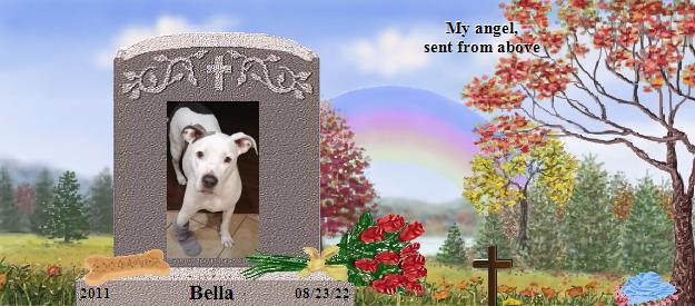 Bella's Rainbow Bridge Pet Loss Memorial Residency Image