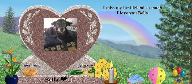 Bella ❤️'s Rainbow Bridge Pet Loss Memorial Residency Image