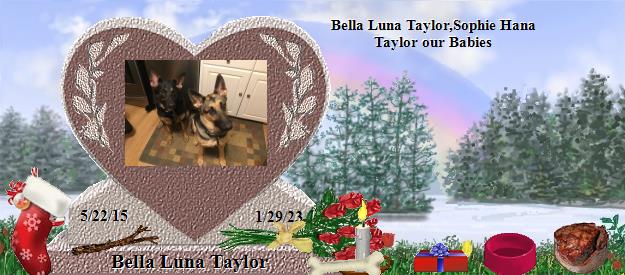 Bella Luna Taylor's Rainbow Bridge Pet Loss Memorial Residency Image