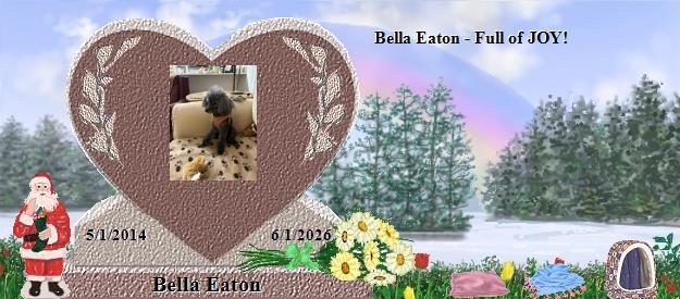 Bella Eaton's Rainbow Bridge Pet Loss Memorial Residency Image