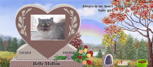 Belle Mallon's Rainbow Bridge Pet Loss Memorial Residency Image