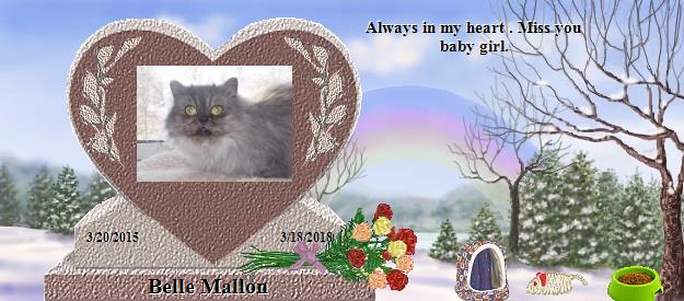 Belle Mallon's Rainbow Bridge Pet Loss Memorial Residency Image