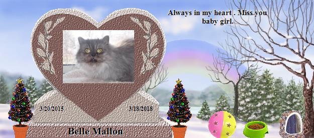 Belle Mallon's Rainbow Bridge Pet Loss Memorial Residency Image