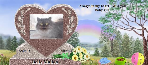 Belle Mallon's Rainbow Bridge Pet Loss Memorial Residency Image