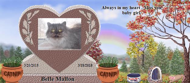 Belle Mallon's Rainbow Bridge Pet Loss Memorial Residency Image