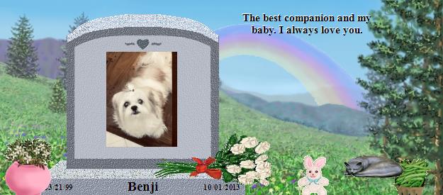 Benji's Rainbow Bridge Pet Loss Memorial Residency Image