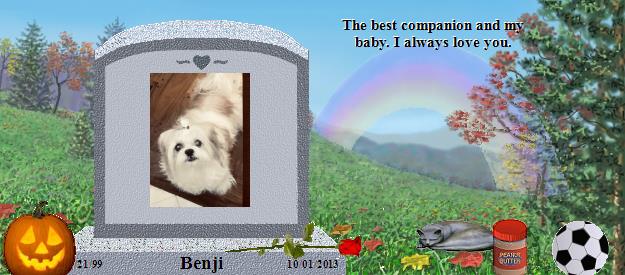 Benji's Rainbow Bridge Pet Loss Memorial Residency Image