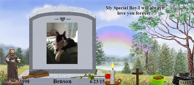Benson's Rainbow Bridge Pet Loss Memorial Residency Image