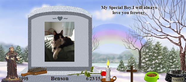Benson's Rainbow Bridge Pet Loss Memorial Residency Image