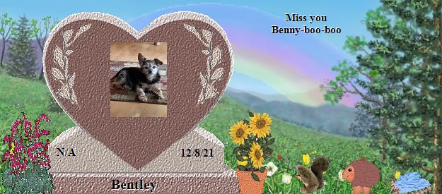 Bentley's Rainbow Bridge Pet Loss Memorial Residency Image